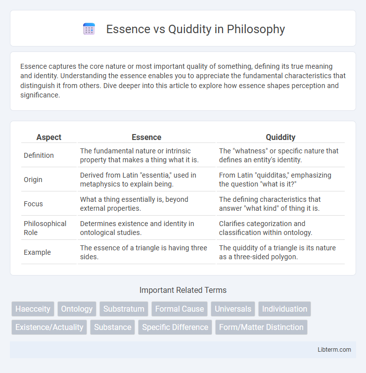 Quiddity vs Essence in Philosophy - What is The Difference?