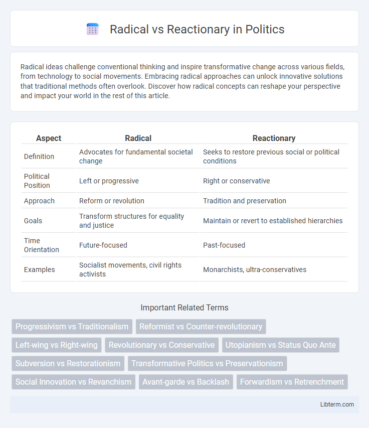 Reactionary vs Radical in Politics - What is The Difference?