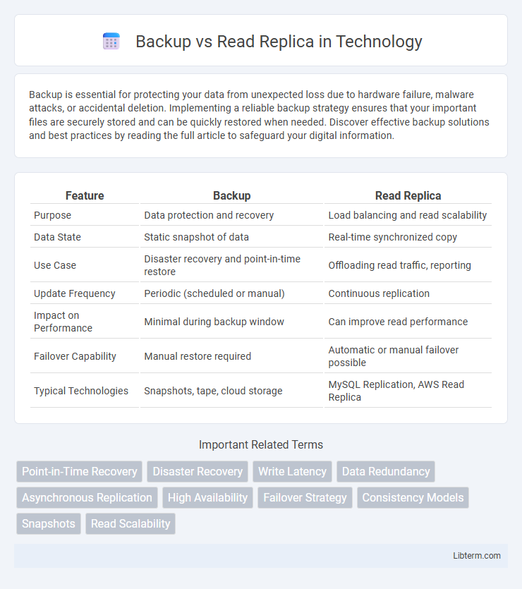 Read Replica vs Backup in Technology - What is The Difference?