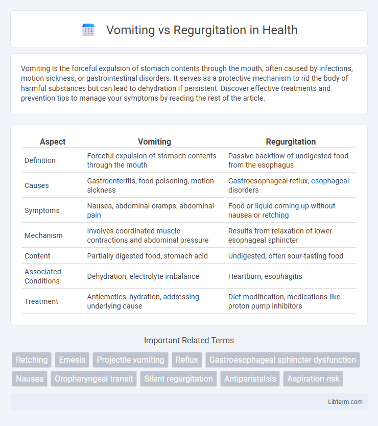 Regurgitation vs Vomiting in Health - What is The Difference?
