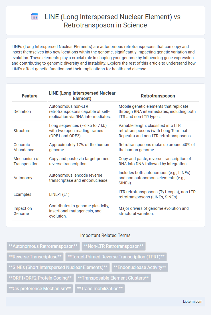 Retrotransposon vs LINE (Long Interspersed Nuclear Element) in Science - What is The Difference?