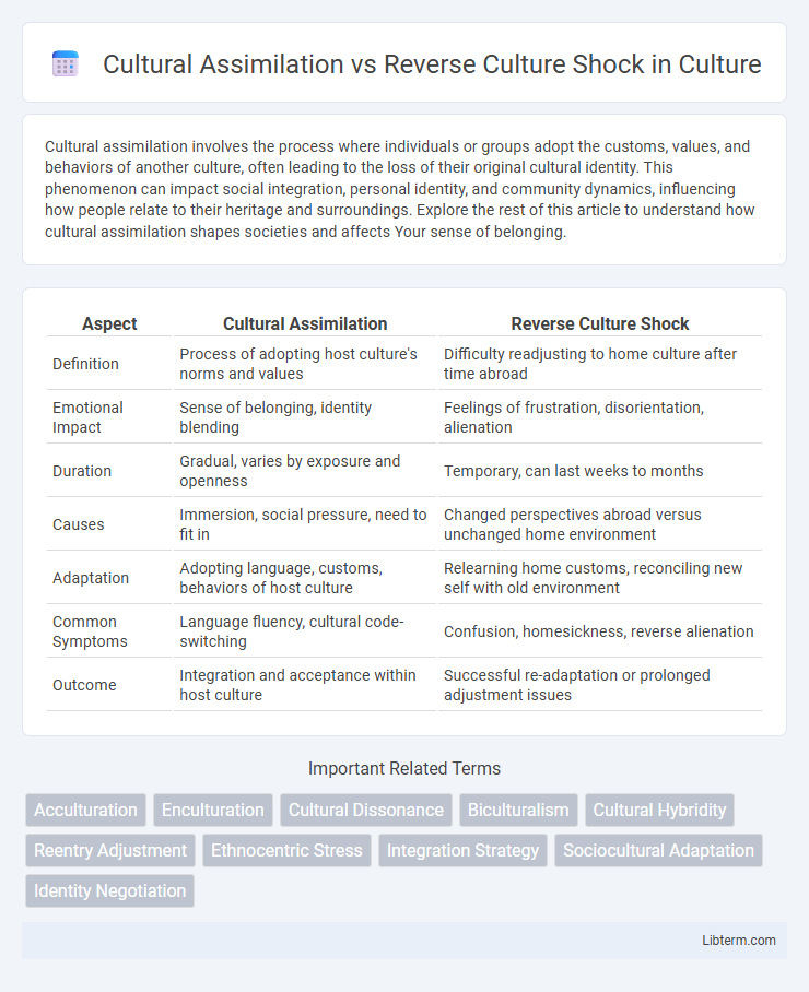 Reverse Culture Shock vs Cultural Assimilation in Culture - What is The Difference?