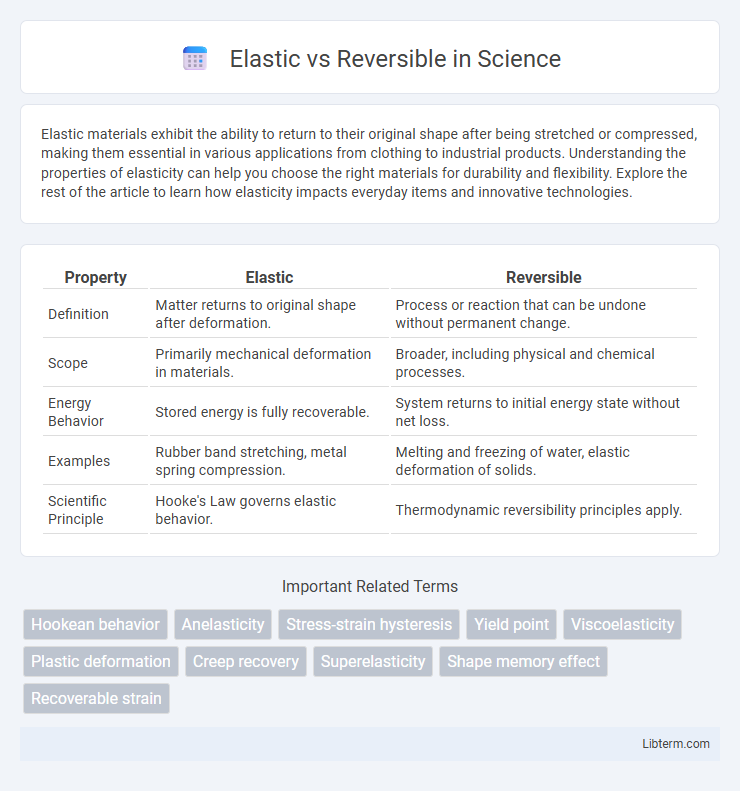 Reversible vs Elastic in Science - What is The Difference?