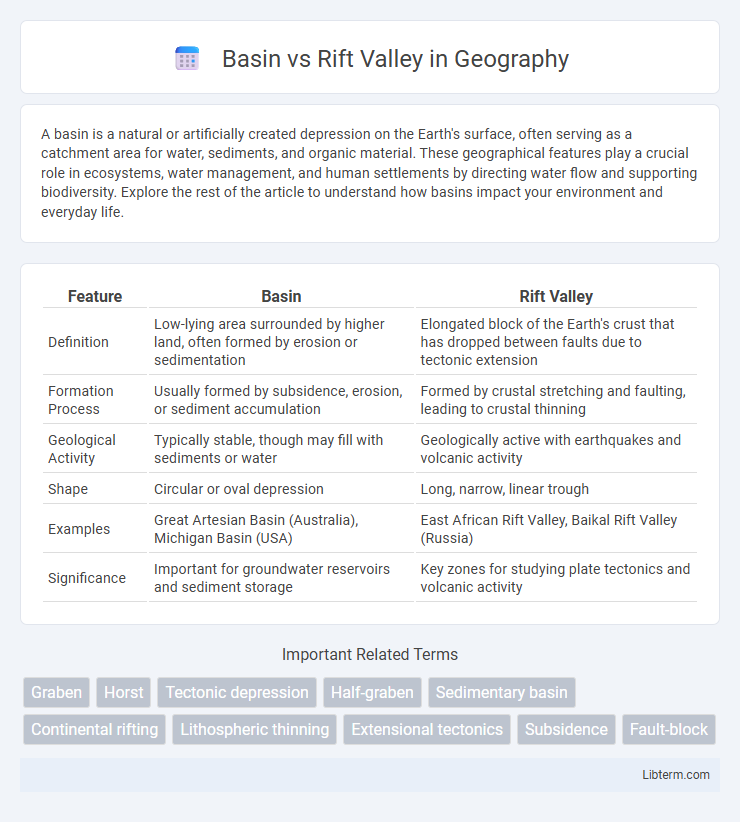 Rift Valley vs Basin in Geography - What is The Difference?