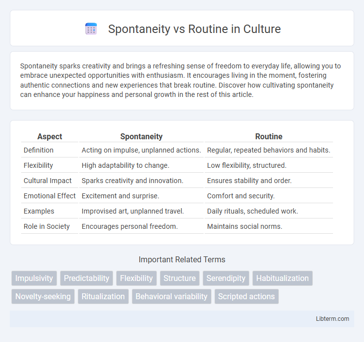 Routine vs Spontaneity in Culture - What is The Difference?