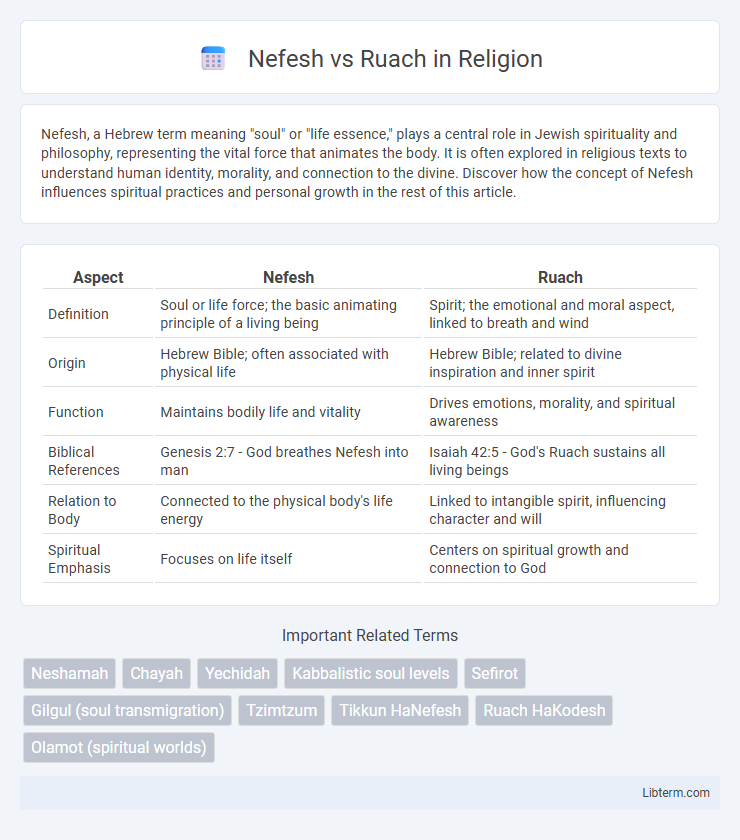 Ruach vs Nefesh in Religion - What is The Difference?