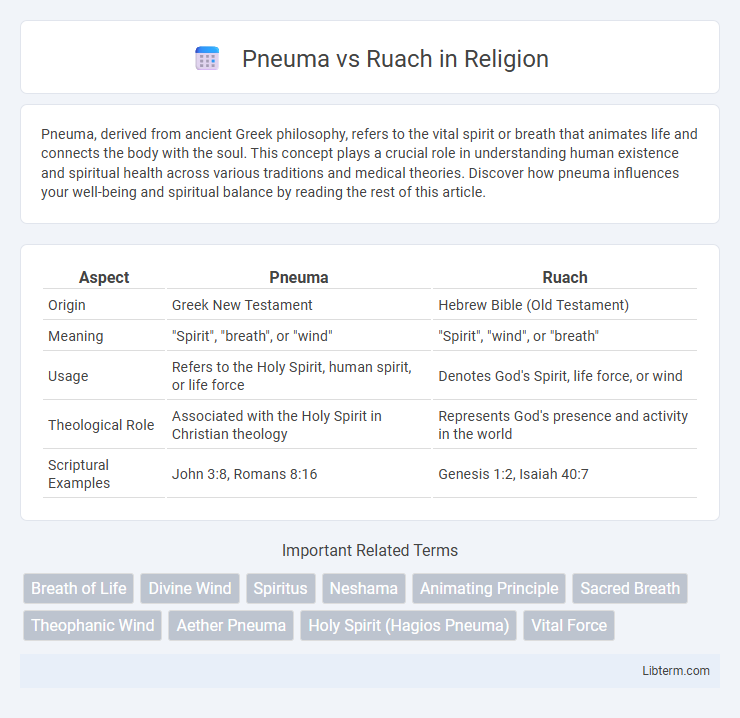 Ruach vs Pneuma in Religion - What is The Difference?