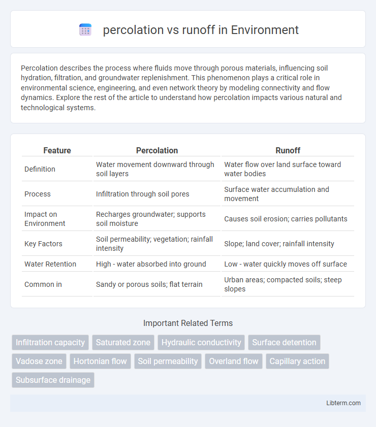 runoff vs percolation in Environment - What is The Difference?