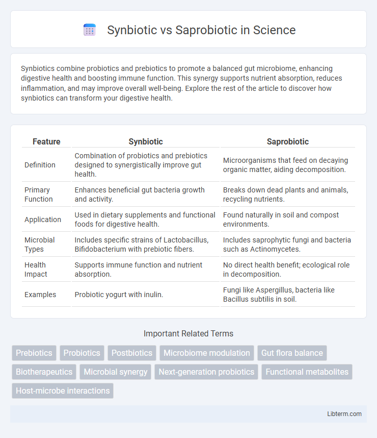 Saprobiotic vs Synbiotic in Science - What is The Difference?