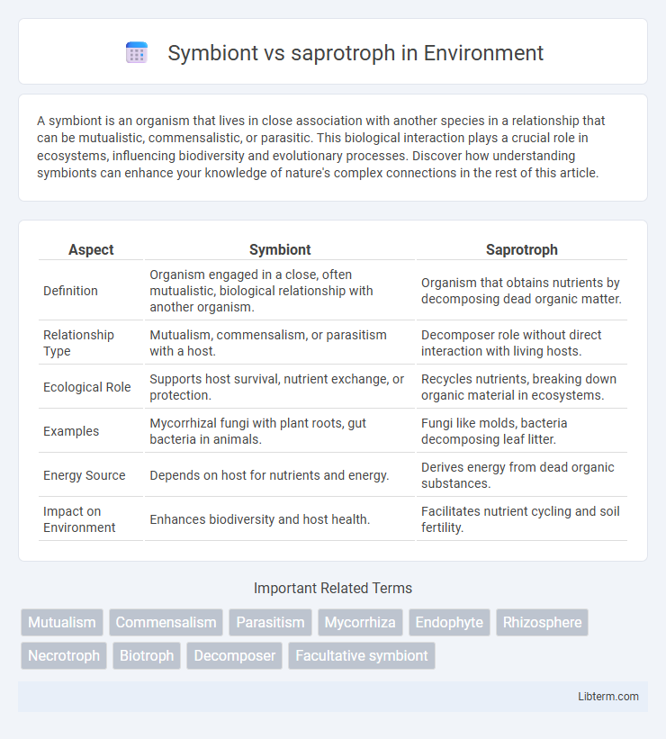 saprotroph vs Symbiont in Environment - What is The Difference?