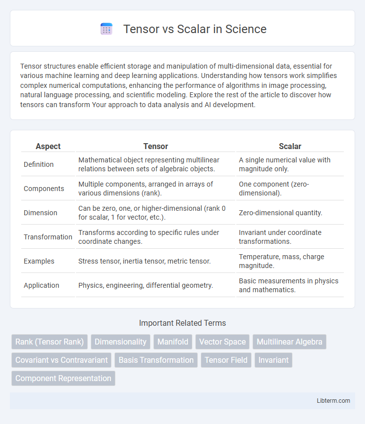 Scalar vs Tensor in Science - What is The Difference?