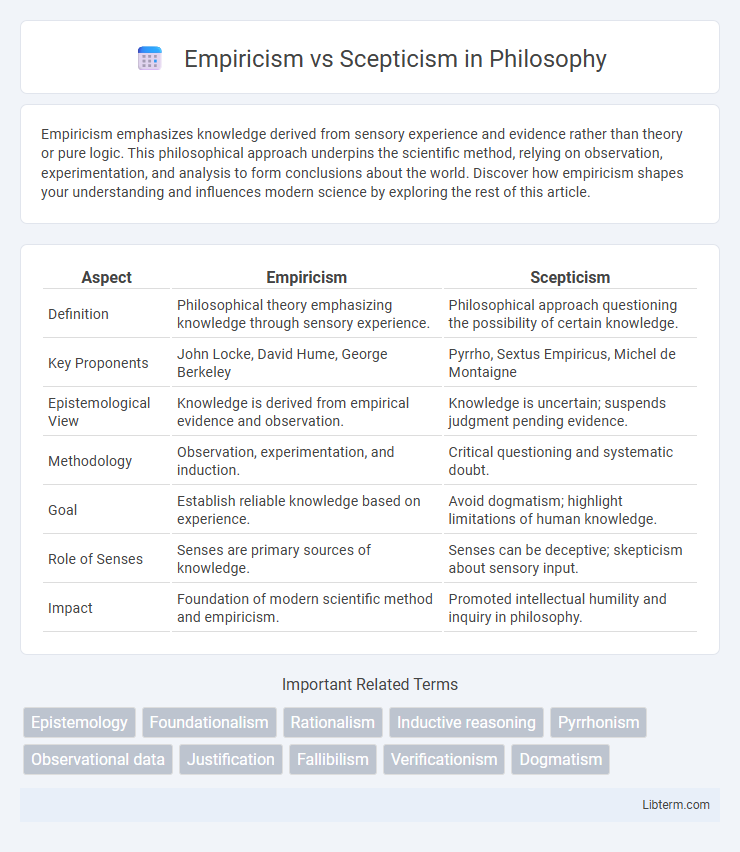 Scepticism vs Empiricism in Philosophy - What is The Difference?