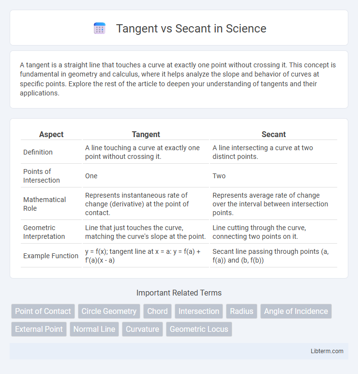 Secant vs Tangent in Science - What is The Difference?