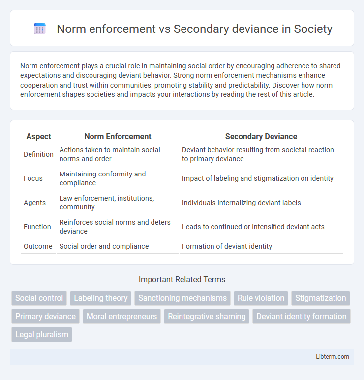 Secondary deviance vs Norm enforcement in Society - What is The Difference?