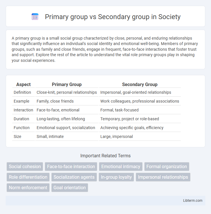 Secondary group vs Primary group in Society - What is The Difference?