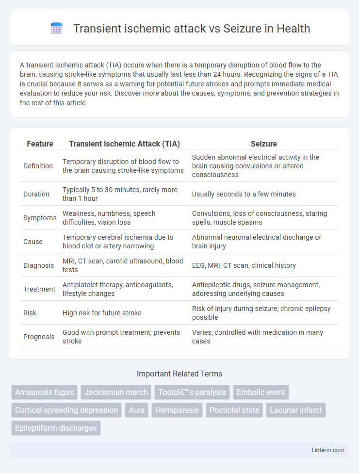 Seizure vs Transient ischemic attack in Health - What is The Difference?