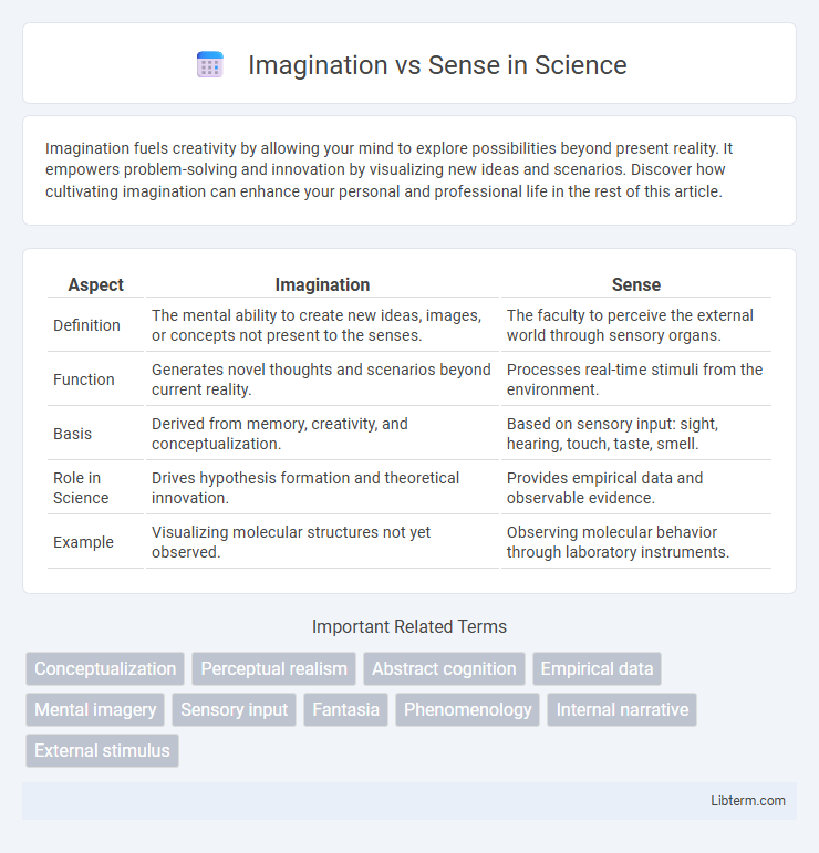 Sense vs Imagination in Science - What is The Difference?