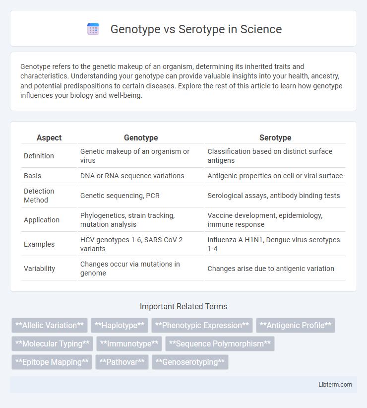 Serotype vs Genotype in Science - What is The Difference?