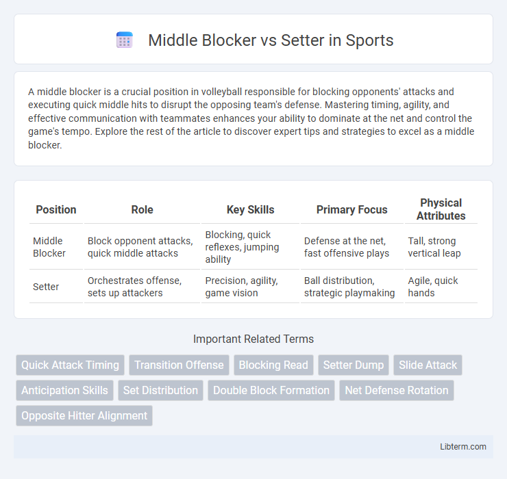 Setter vs Middle Blocker in Sports - What is The Difference?