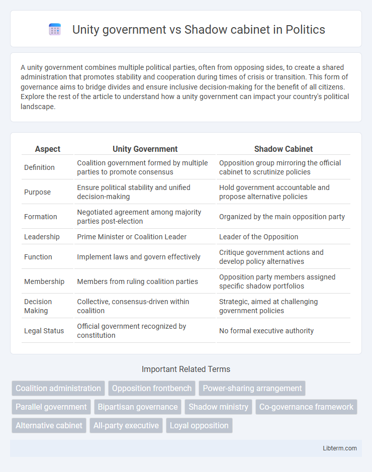 Shadow cabinet vs Unity government in Politics - What is The Difference?