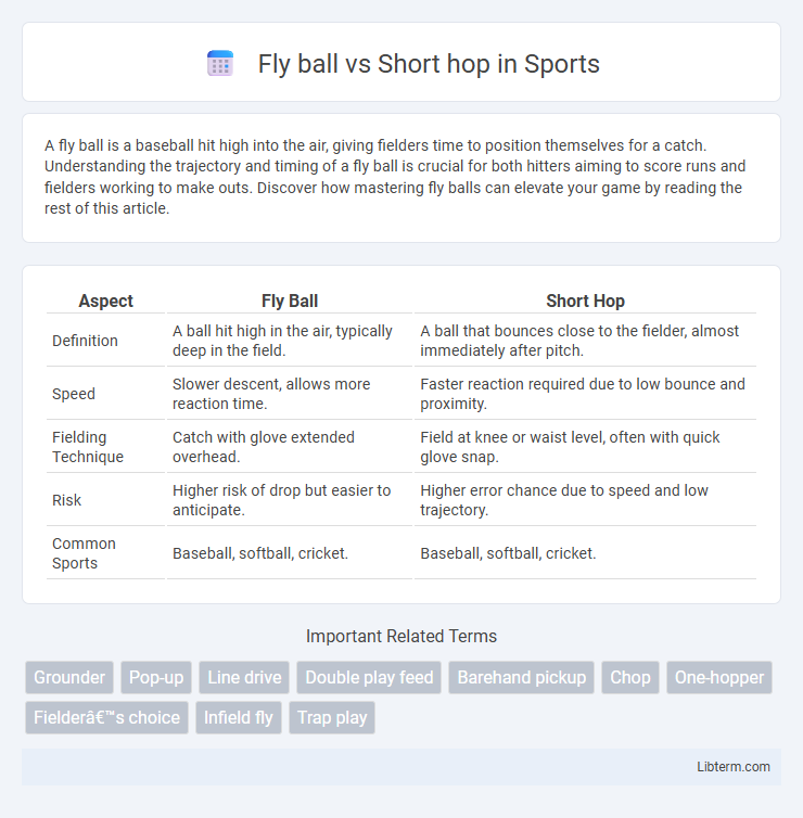 Short hop vs Fly ball in Sports - What is The Difference?