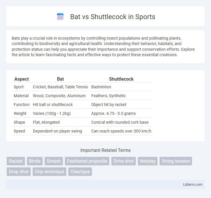 Shuttlecock vs Bat in Sports - What is The Difference?