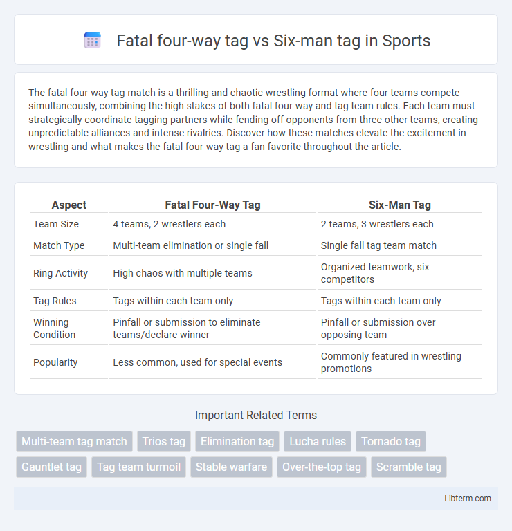 Six-man tag vs Fatal four-way tag in Sports - What is The Difference?