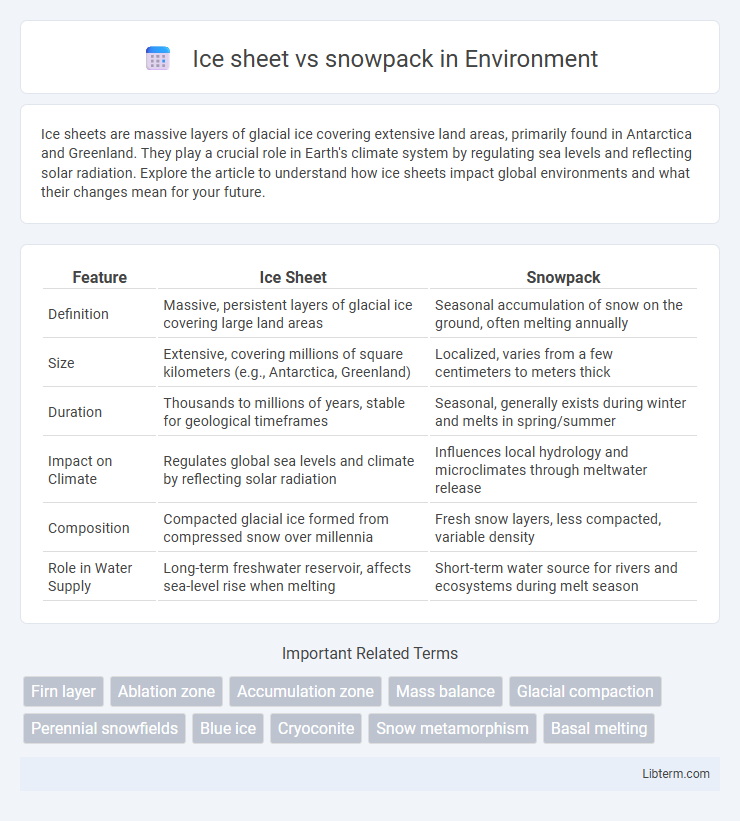 snowpack vs Ice sheet in Environment - What is The Difference?