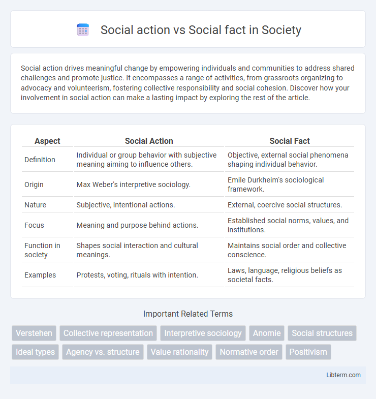 Social fact vs Social action in Society - What is The Difference?