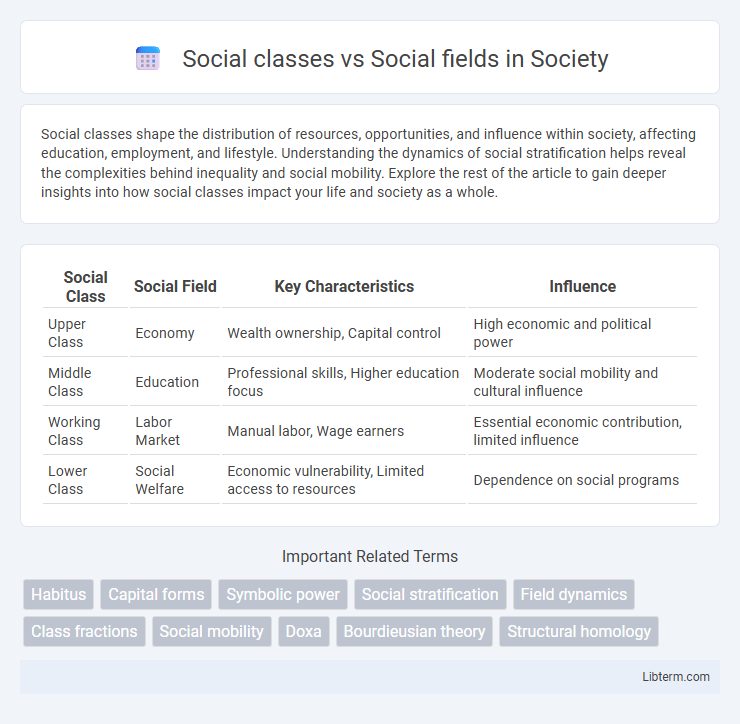 Social fields vs Social classes in Society - What is The Difference?