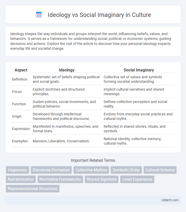 Social Imaginary vs Ideology in Culture - What is The Difference?
