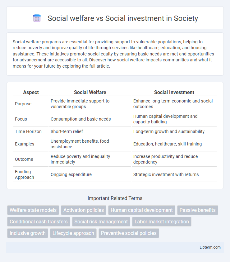 Social investment vs Social welfare in Society - What is The Difference?