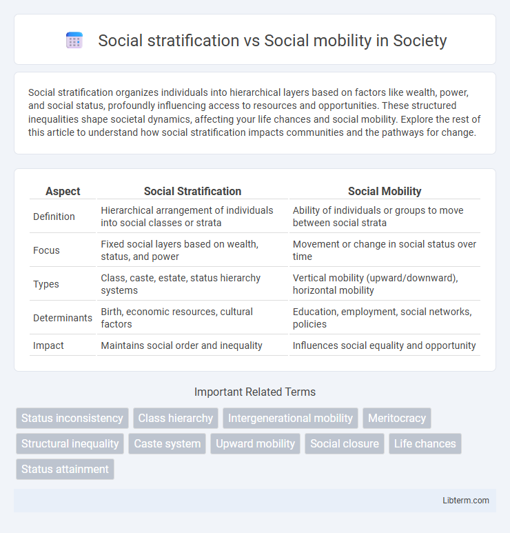 Social mobility vs Social stratification in Society - What is The Difference?