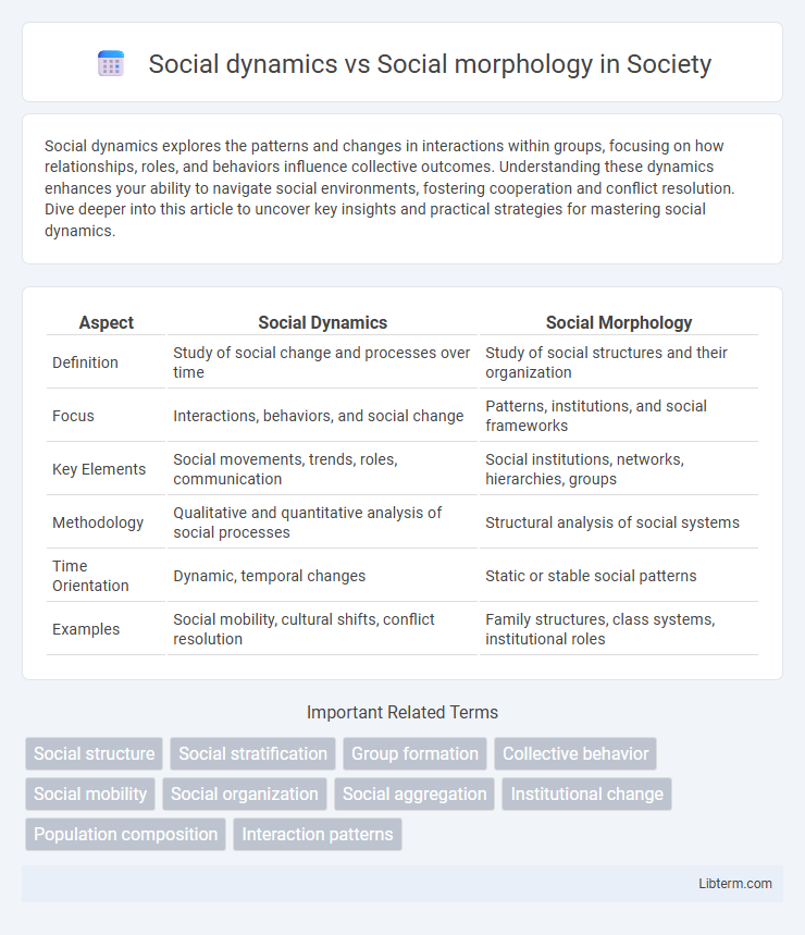 Social morphology vs Social dynamics in Society - What is The Difference?