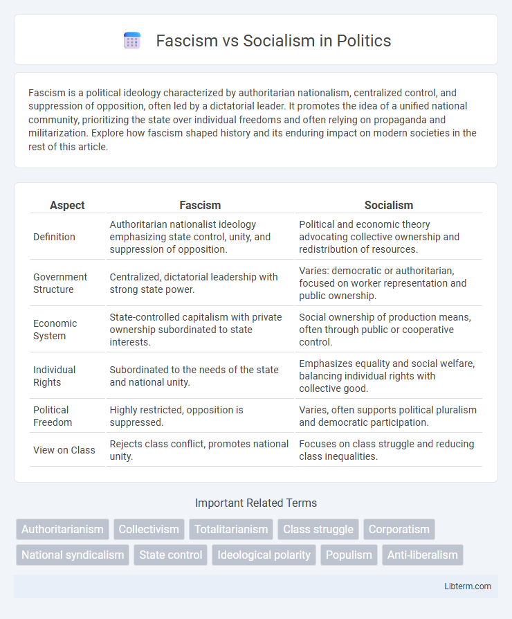 Socialism vs Fascism in Politics - What is The Difference?
