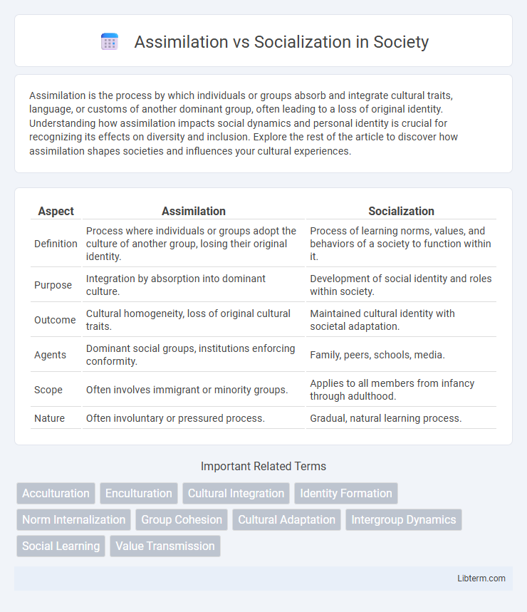 Socialization vs Assimilation in Society - What is The Difference?