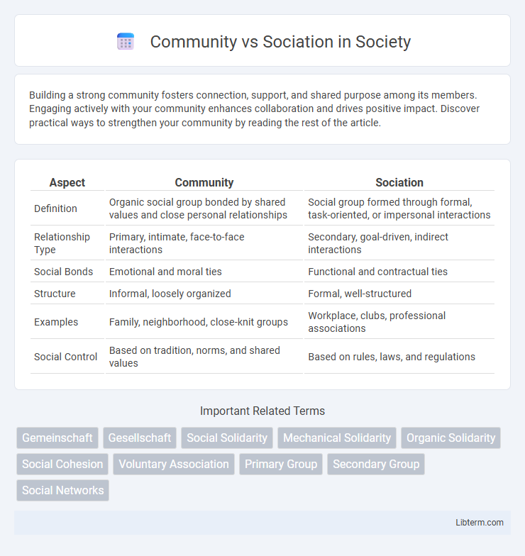 Sociation vs Community in Society - What is The Difference?