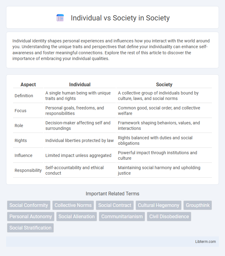 Society vs Individual in Society - What is The Difference?