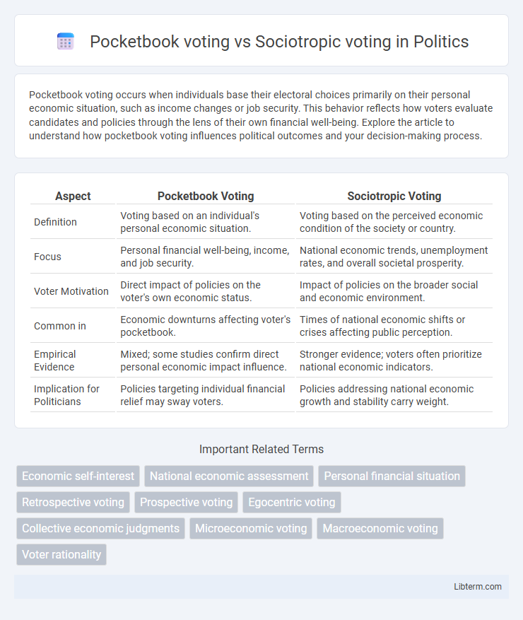 Sociotropic voting vs Pocketbook voting in Politics - What is The Difference?