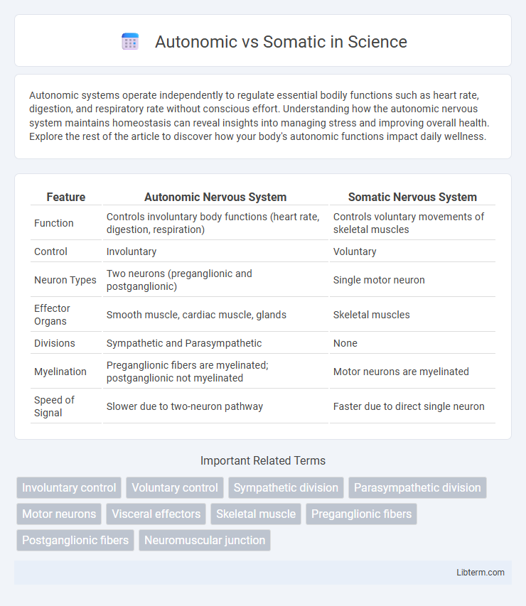 Somatic vs Autonomic in Science - What is The Difference?