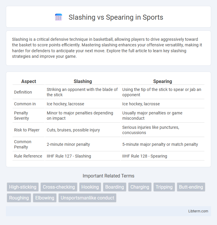 Spearing vs Slashing in Sports - What is The Difference?