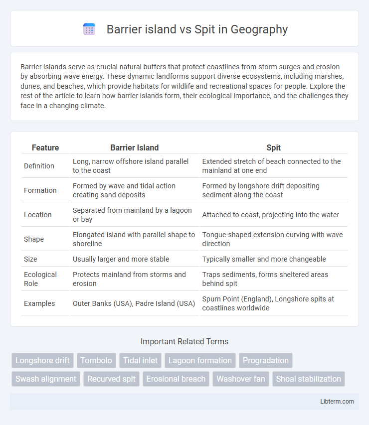 Spit vs Barrier island in Geography - What is The Difference?