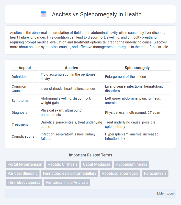 Splenomegaly vs Ascites in Health - What is The Difference?