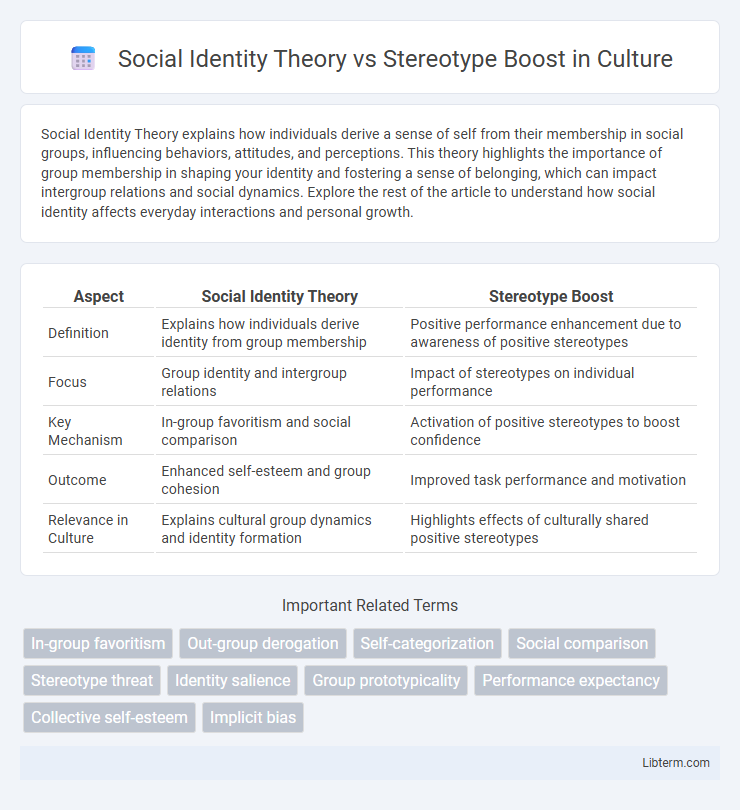 Stereotype Boost vs Social Identity Theory in Culture - What is The Difference?