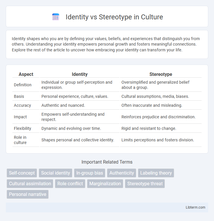 Stereotype vs Identity in Culture - What is The Difference?