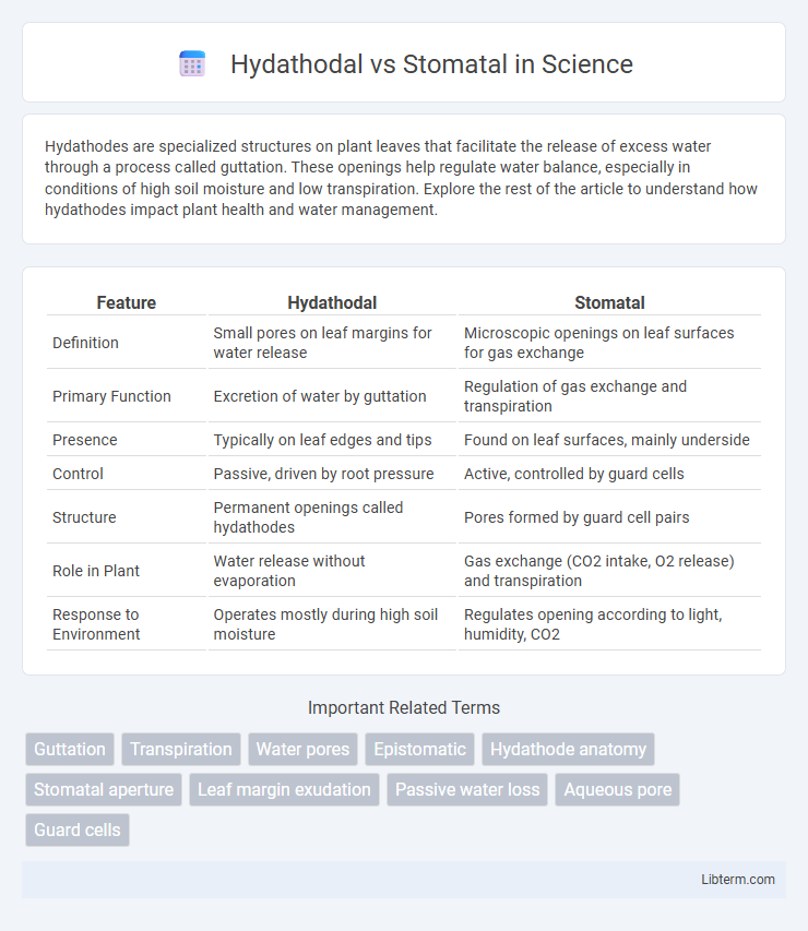 Stomatal vs Hydathodal in Science - What is The Difference?
