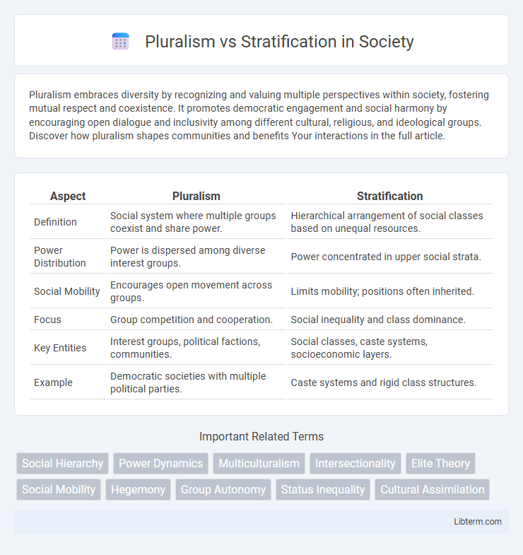 Stratification vs Pluralism in Society - What is The Difference?