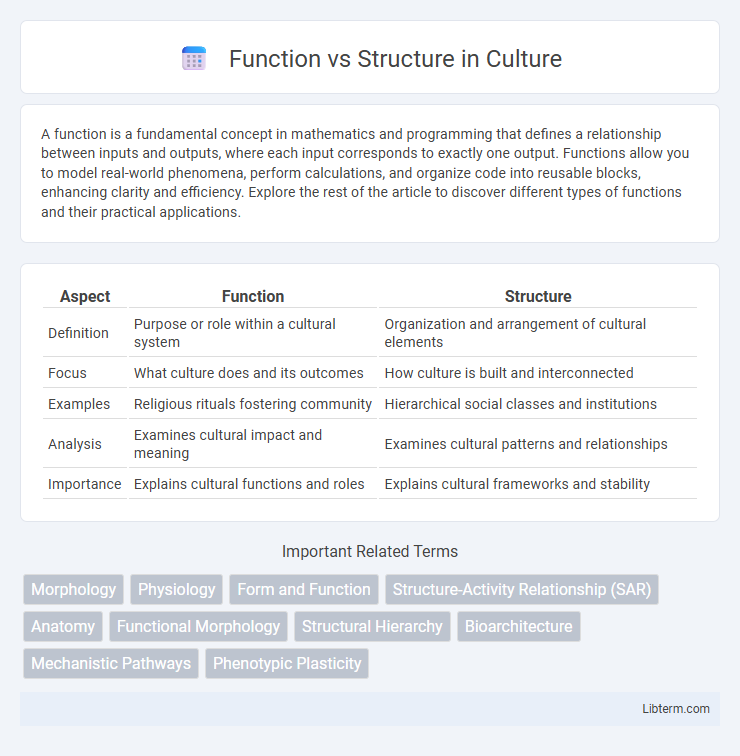 Structure vs Function in Culture - What is The Difference?