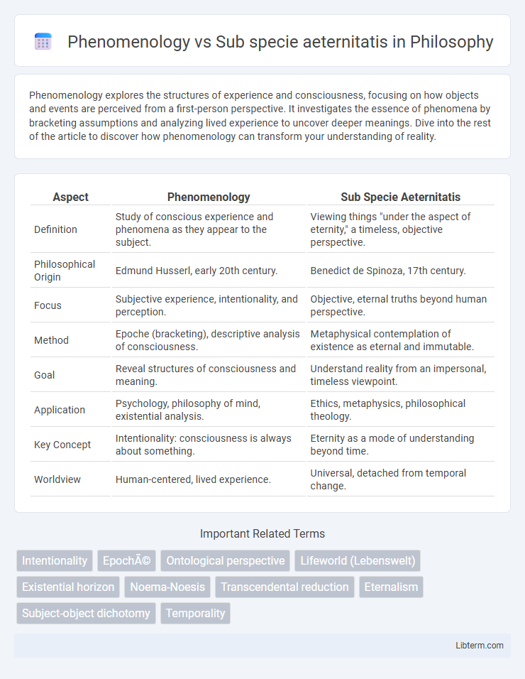 Sub specie aeternitatis vs Phenomenology in Philosophy - What is The Difference?