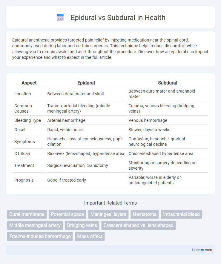 Subdural vs Epidural in Health - What is The Difference?
